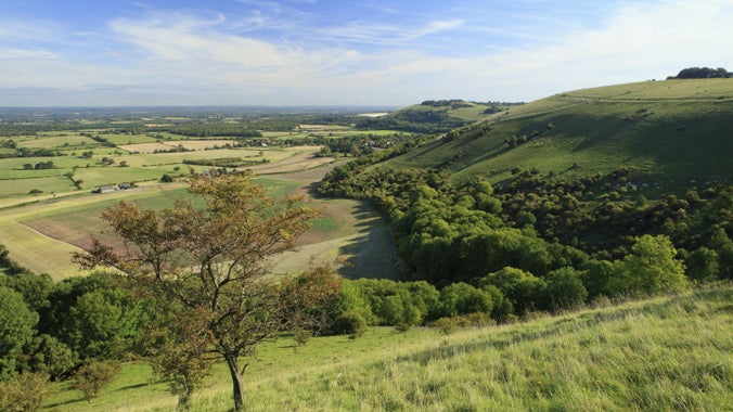 September at Devil's Dyke, South Downs, West Sussex